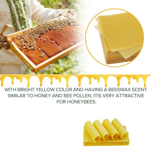 anso 10/30 Pcs Beeswax Sheets Honeycomb Foundation Wax Frames Beekeeping Honey Bee Hive 5.11inch X 3.54inch (30Pcs) - color: 30pcs