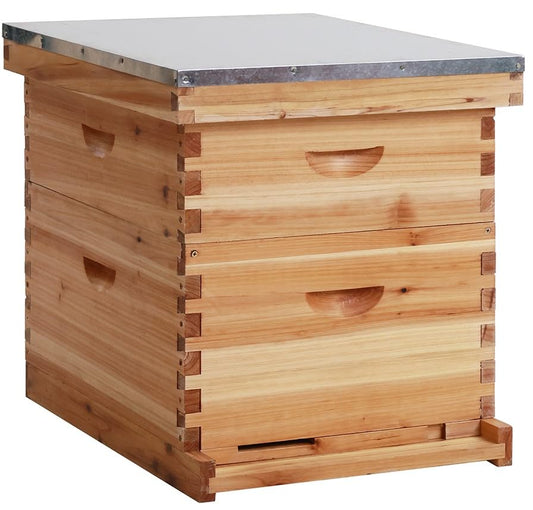 Bee Hive Box with Observation Window, 10 Frame Beeswax Coated Bee Hive Starter Kit for Beginners Beekeepers (1 Deep Box & 1 Medium Boxes) - size: 2 Layer