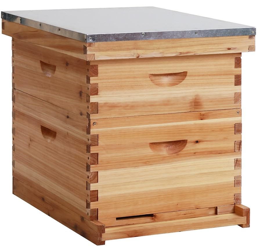 Bee Hive Box with Observation Window, 10 Frame Beeswax Coated Bee Hive Starter Kit for Beginners Beekeepers (1 Deep Box & 1 Medium Boxes) - size: 2 Layer