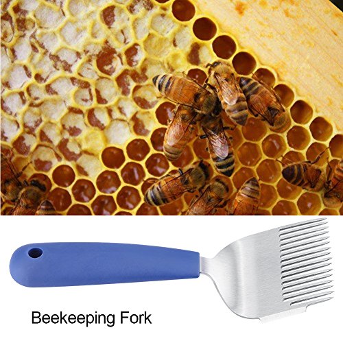 Uncapping Fork for Beekeeping, Stainless Steel Material, Plastic Handle Beekeeping Tool, Great for Honeycomb Uncapping and Drone Brood Removal, Durable Beekeeper Supplies