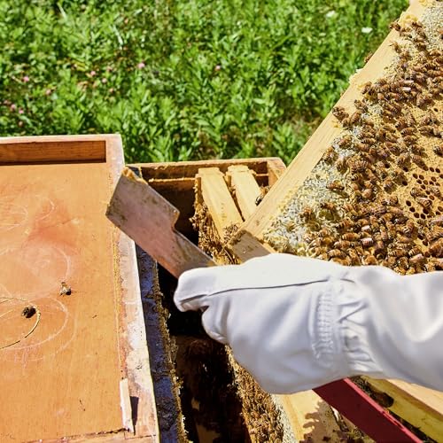 Honey Keeper 2-Pack Stainless Steel J Hook Bee Hive Tool, 10-1/2 inch Frame Lifter and Scraper, Beekeeping Equipment