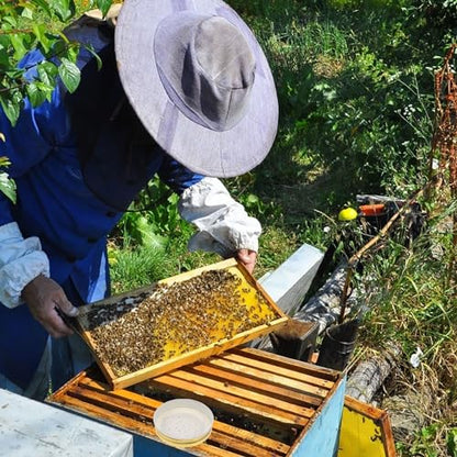 INOOMP 4pcs Bee Entrance Feeders Beehive Feeder Bee Drinking Tool Set Perforated Metal Mason Jar Lids Waterer Honey Bee Beekeeping Equipment