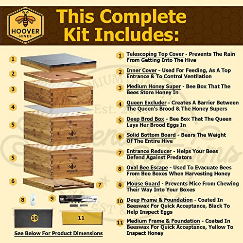 Hoover Hives 8 Frame Langstroth Beehive Dipped in 100% Beeswax Includes Wooden Frames & Waxed Foundations (2 Deep Boxes, 1 Medium Box)(Fully Assembled)