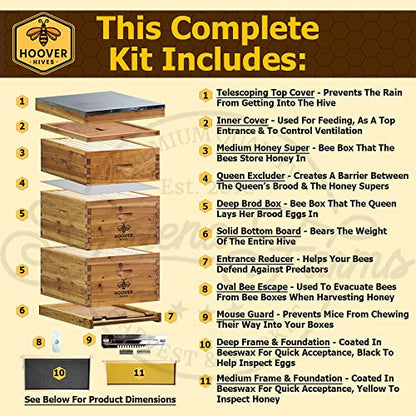 Hoover Hives 8 Frame Langstroth Beehive Dipped in 100% Beeswax Includes Wooden Frames & Waxed Foundations (2 Deep Boxes, 1 Medium Box)(Fully Assembled)