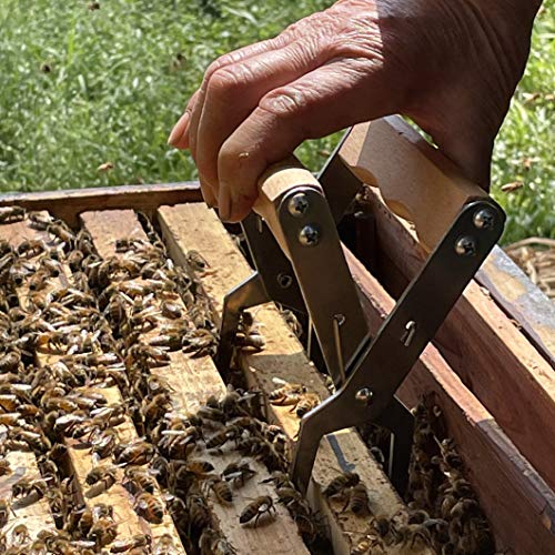 Stainless Steel Frame Gripper -, 2PCS, Beehive Frame Gripper, Frame Clamper, Beehive Frame Holder with Wooden Handle,Beekeeping Tools