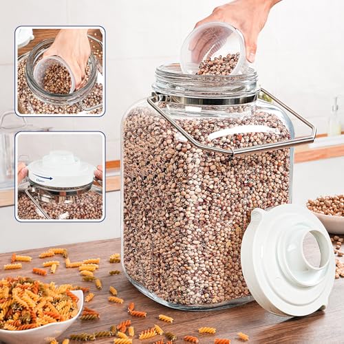 Daitouge 5 Gallon Glass Jar with Airtight Lid, Square Wide Mouth Storage Jar with Stainless Steel Handle, Glass Jug with Cup for Terrarium, Storage, Dog Treats, Mead Making