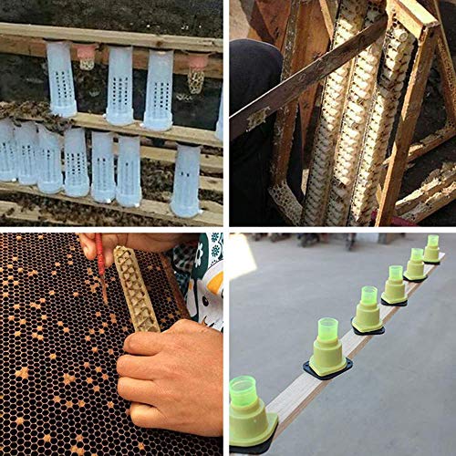 Beekeeping Rearing Cup Kit—Queen Bee Roller Cage 20pcs Equipment Insects Tools Queen Bee Cage Holder Fixtures