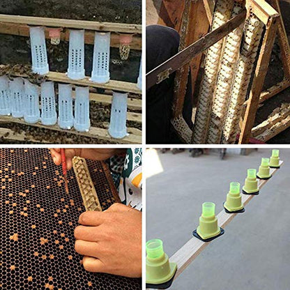 Beekeeping Rearing Cup Kit—Queen Bee Roller Cage 20pcs Equipment Insects Tools Queen Bee Cage Holder Fixtures