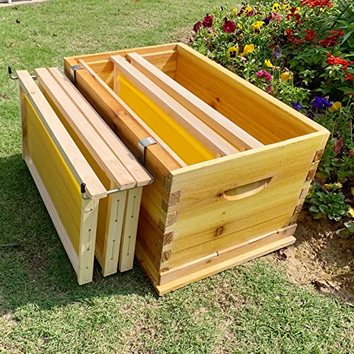 Bee Hive Frame Holder Stainless Steel Frame Grip Shovel Bee Frame (1 Sets) - color: 1 sets