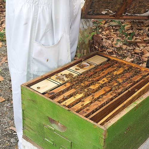 2 Pack 3.5L Bee Feeders, Deep Beehive Frame Feeder for Beekeeping Feeding Equipment Bee Tools Beehive Supplies - size: 2PCS 3.5L