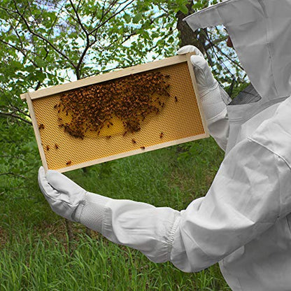Honey Keeper Beekeeping Gloves - Goatskin Leather with Ventilated Canvas Sleeve and Elastic Cuff - size: Small