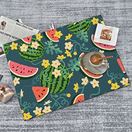 Large Dish Drying Mats For Kitchen Counter Microfiber Kitchen Drying Mat XL Draining Pad Absorbent Quick Drying Dish Mat 18x24 Inch - Watermelons - color: Watermelons