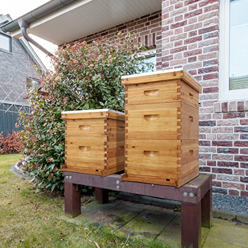 VINGLI 10 Frame Langstroth Beehive Starter Kit, Beeswax Coated 2 Layer Complete Bee Hive, 1 Deep Brood Box & 1 Medium Super Box with Frames and Waxed Foundations for Beekeepers - style: 2 Layer