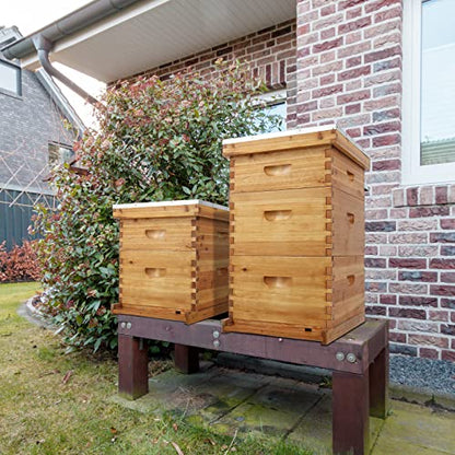 VINGLI 10 Frame Langstroth Beehive Starter Kit, Beeswax Coated 2 Layer Complete Bee Hive, 1 Deep Brood Box & 1 Medium Super Box with Frames and Waxed Foundations for Beekeepers - style: 2 Layer