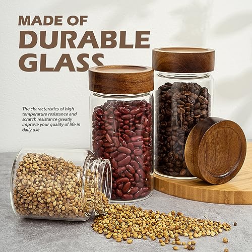 2PCS Small Glass Storage Jars with Airtight Lids, 19.3 fl oz (560ml) coffee container with Wooden Lid, Glass Pantry Canister for Beans, Rice, Sugar and etc - color: clear -（2PCS，19.3FL OZ/560ML）