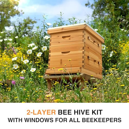 CREWORKS 20 Frame Bee Hive, Beeswax Coated Beehive Kit with Medium & Deep Boxes, Langstroth Bee Hive Boxes Starter Kit, Bees Hives Box with Transparent Acrylic Window - style: 2 Layers
