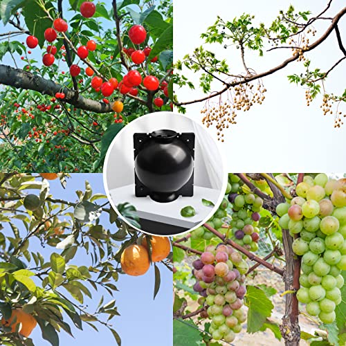 Tree Root Growing Box, Reusable Transparent Plants Asexual Reproduction Grafting Ball, High Pressure Air Layering Pods Propagation Kit (10pcs Meidum) - color: Black-m-10pack