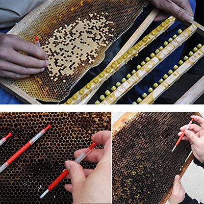 Queen bee Grafting Tool 10pcs Beekeeping MovingTools Shift Needle Beekeeper Bee Hive Queen Larva Rearing Feeding Equipment
