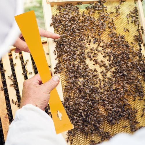 Abaodam 2pcs Stainless Steel Hive Scraper for Beekeeping with Smooth Surface and Rust-Resistant Yellow Coating, Sturdy Hive Tool for Beekeepers Working with Beehives