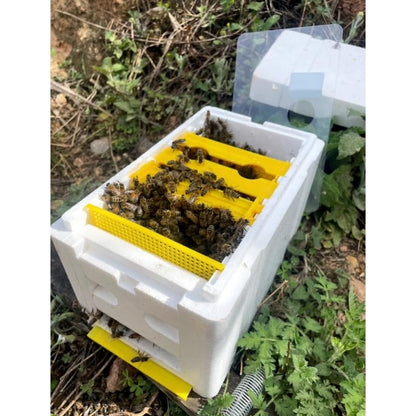 1set Nuc Box for Bees,Foam Beehive Kit with 3 Plastic Frames & 1 Feeder, Queen Bee Mating Rearing Hives Essential Beekeeping Supplies
