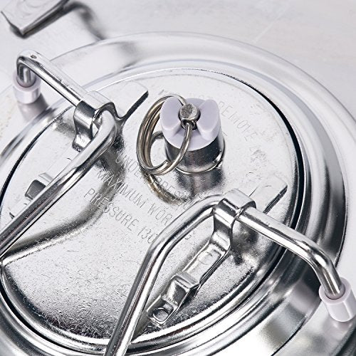 Stainless Steel 1.6 Gallon Mini Ball Lock Keg System For Small Batch HomeBrewing Beer Brewing Strap Handle (6L)
