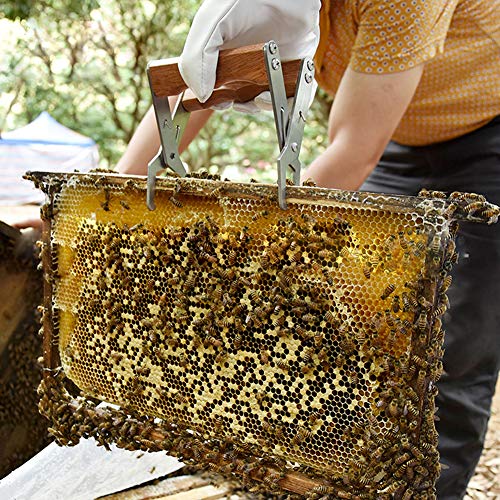 Wooden Handle Multifunction Bee Hive Tool Beekeeping Equipment Bee Frame Grip Tool Supplie(Frame Grip) - color: Frame Grip