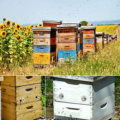 Flexzion Bee Hive Nuc Box Entrance Gate - 6 PCS 2.6 Inch Stainless Steel Bee Hive Entrance Disc & Bee Door with 4 Access Modes - Bee Hive Entrance Gate Disc for Nucleus & Full-Sized Hives - size: 6 pcs