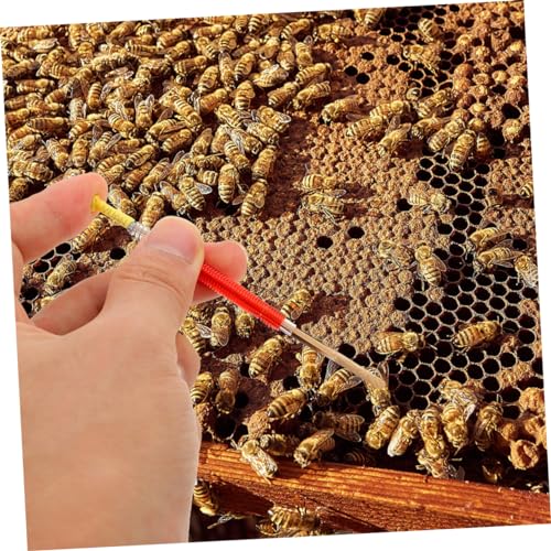 LIOOBO 2Pcs Beekeeping Hive Tool Durable Bee Grafting Needle Moving Needle Essential for Queen Rearing Non Slip Handle for Easy Use