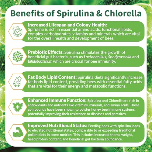 BeeBites: SuperFood for Healthy Hives - Honey Bee Fondant with Spirulina and Chlorella - Probiotics Powered by Algae - Best Food for Queen Immunity - 10 Bars (50g Each) - size: 1 Count (Pack of 10)