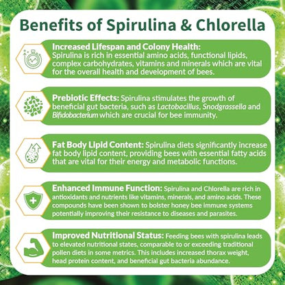 BeeBites: SuperFood for Healthy Hives - Honey Bee Fondant with Spirulina and Chlorella - Probiotics Powered by Algae - Best Food for Queen Immunity - 10 Bars (50g Each) - size: 1 Count (Pack of 10)
