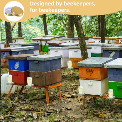 Sewroro Beehive Water Feeder Lid Replacement 8 Pack Bee Entrance Feeder Lids Perforated Water Dispenser Caps for Beekeeping Supplies Hive Hydration Accessory 2.87 X 2.87 X 0.59 in
