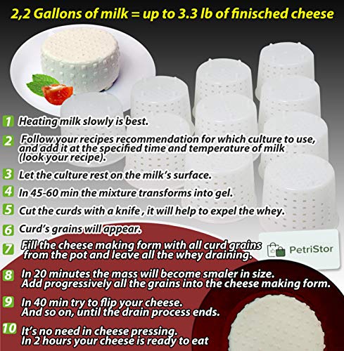 PetriStor 10pcs Small Cheese Mold for Cheese Making 1/3 qt - Soft Cheese Molds - Homemade Cheese Making Supplies - Cream Cheese Form Mold - Moldes Para Queso Fresco Casero - Feta Cheese Making