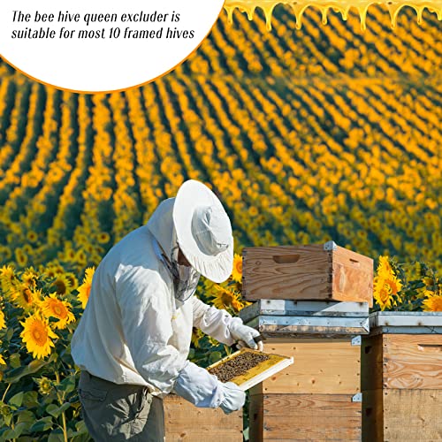 Rtteri 20 Packs 10 Frame Plastic Queen Excluder Beekeeping Queen Excluders Bee Supply Queen Excluder Fits 10 Frame Langstroth Beehives Beekeeping Supplies Kit Tools for All Beekeeping Levels (Yellow) - color: Yellow
