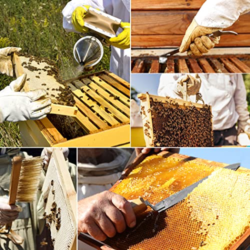 BeeCastle Beekeeping Supplies 22PCS Beekeeping Tools Kit with Organizer Handbag, Bee Keeping Supplies-All Tools Kit Bee Keeping Starter Kit for Beginners and Professional Beekeepers