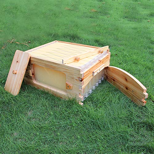 Auto Super Box for Beekeeping, 7-Frame Honey Super with Windows, Complete Bee Box Supplement with 7 Auto Super Frames, Key & Tubes
