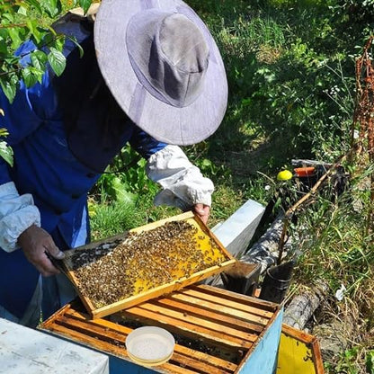 Bee Entrance Feeders Beehive Feeder, Perforated Metal Mason Jar Lids Entrance Feeder Beehive Waterer Honey Bee Canning Feeder Beekeeper Tool Bee Drinking Beekeeping Equipment 4pcs