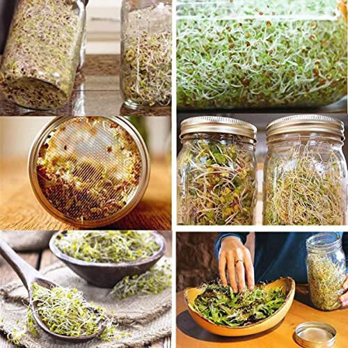 Sprouting Jar Lids WIDE MOUTH Mason Jar Strainer Lid 4 Pack Stainless Steel Strainer Mesh Sprouts Lids for Seed Sprouting Salad Sprouts Broccoli Sprouts Growing Kit