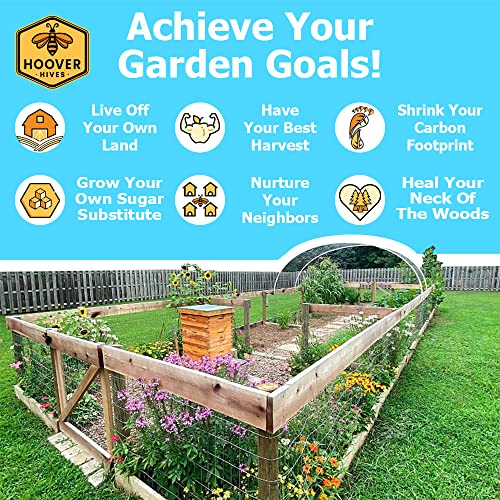 Hoover Hives 8 Frame Langstroth Beehive Dipped in 100% Beeswax Includes Wooden Frames & Waxed Foundations (2 Deep Boxes, 1 Medium Box)(Fully Assembled)