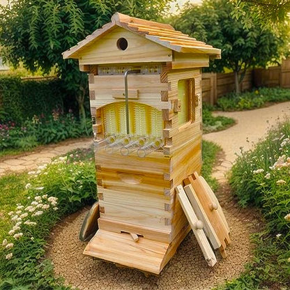 Mini Nuc Beehive Starter Kit, Auto Bee Box with 4 Auto Super Frames and 6 Brood Frames for Beginner Beekeeping