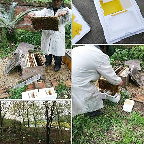 1set Nuc Box for Bees,Foam Beehive Kit with 3 Plastic Frames & 1 Feeder, Queen Bee Mating Rearing Hives Essential Beekeeping Supplies