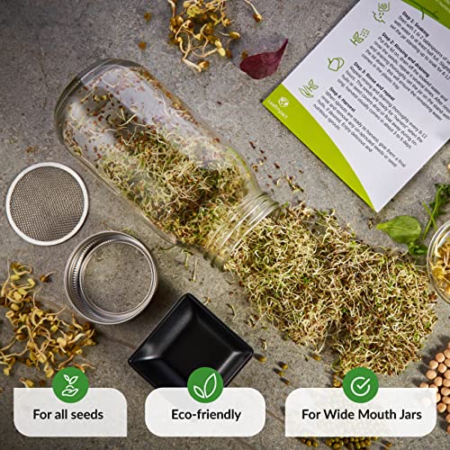 2 Pack Seed Sprouting Jar Lids | For 3.38" Wide Mouth Mason Jars | Fresh Sprouts at Home | Strainer Screen for Canning Jars | 304 Stainless Steel Lid for Growing Broccoli, Alfalfa, Beans & More - size: 2-Pack Wide Mouth