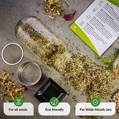 2 Pack Seed Sprouting Jar Lids | For 3.38" Wide Mouth Mason Jars | Fresh Sprouts at Home | Strainer Screen for Canning Jars | 304 Stainless Steel Lid for Growing Broccoli, Alfalfa, Beans & More - size: 2-Pack Wide Mouth