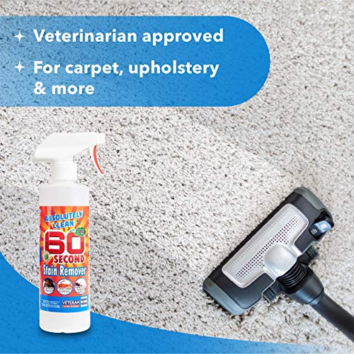Amazing 60 Second Stain Remover - Commercial Strength - Powerful, Natural Enzymes Remove Food, Grease, Pet Stains & More - Non-Toxic/Eco Friendly - USA Made (16oz Spray Bottle 2-Pack -Save 25%) - style: 16 Fl Oz (Pack of 2)