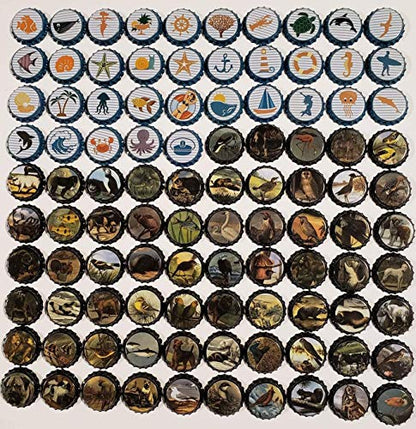 100 Homebrew Beer Bottle Caps for crafts
