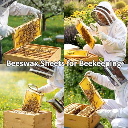 30pcs Beeswax Sheets for Beekeeping Candle Making, DIY Craft Supplies | Beeswax Sheets Foundation for Beekeeping Candle Making Wax Honeycomb Frames DIY Bee Frames Kit Honey Rolled