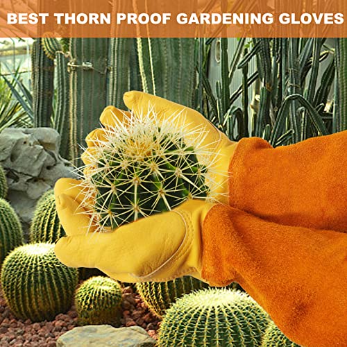 Long Gardening-Gloves Women/Men-Thorn proof Rose Pruning Heavy Duty Gauntlet-XL - color: Yellow, size: X-Large (Pack of 1)