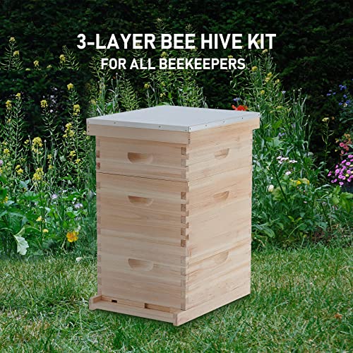 CREWORKS Bee Hive Boxes Starter Kit, 3 Layer Bee House with 10 Medium and 20 Deep Frames & Foundations, Langstroth Beehive for Bee Keeping, Beekeeping Supplies with Plastic Queen Excluder and Nails - style: 3 Layer