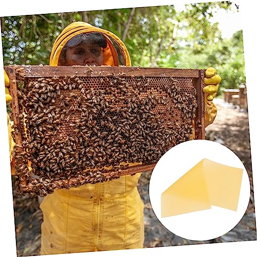 30pcs Hive Basics Beehive Wax Foundation Sheets Beehive Accessories Easy to Use Natural Beeswax for Beekeeping DIY Projects