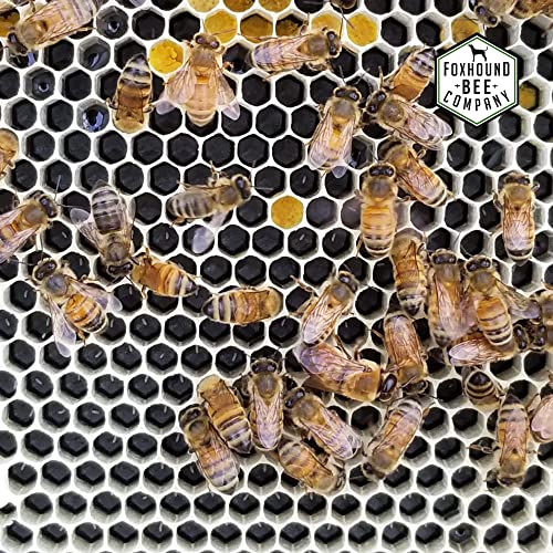 2 Pack Reusable and Washable 20"x18" Filter with Adjustable Drawstring for Straining and Filtering Honey, Wax, Beer, Nut Milk and More Through Nylon 600 Micron Mesh in a 5 Gallon Bucket