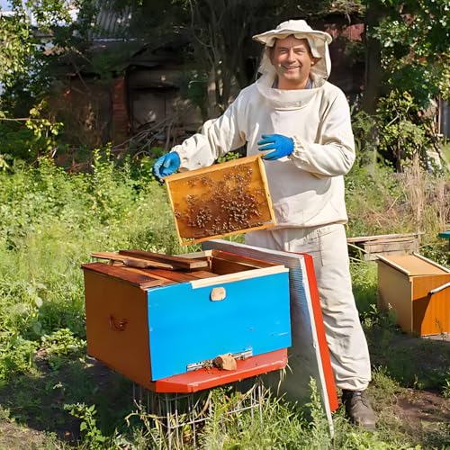 Beeswax Sheets Beehive Wax Foundation Sheets Natural and Additive-Free, for Candle Making, Crafts, Beekeeping, and DIY Projects, High-Quality Beeswax for Pure, Eco-Friendly Creations